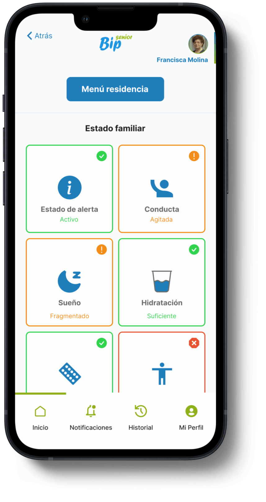 BipSenior App - Estado Familiar